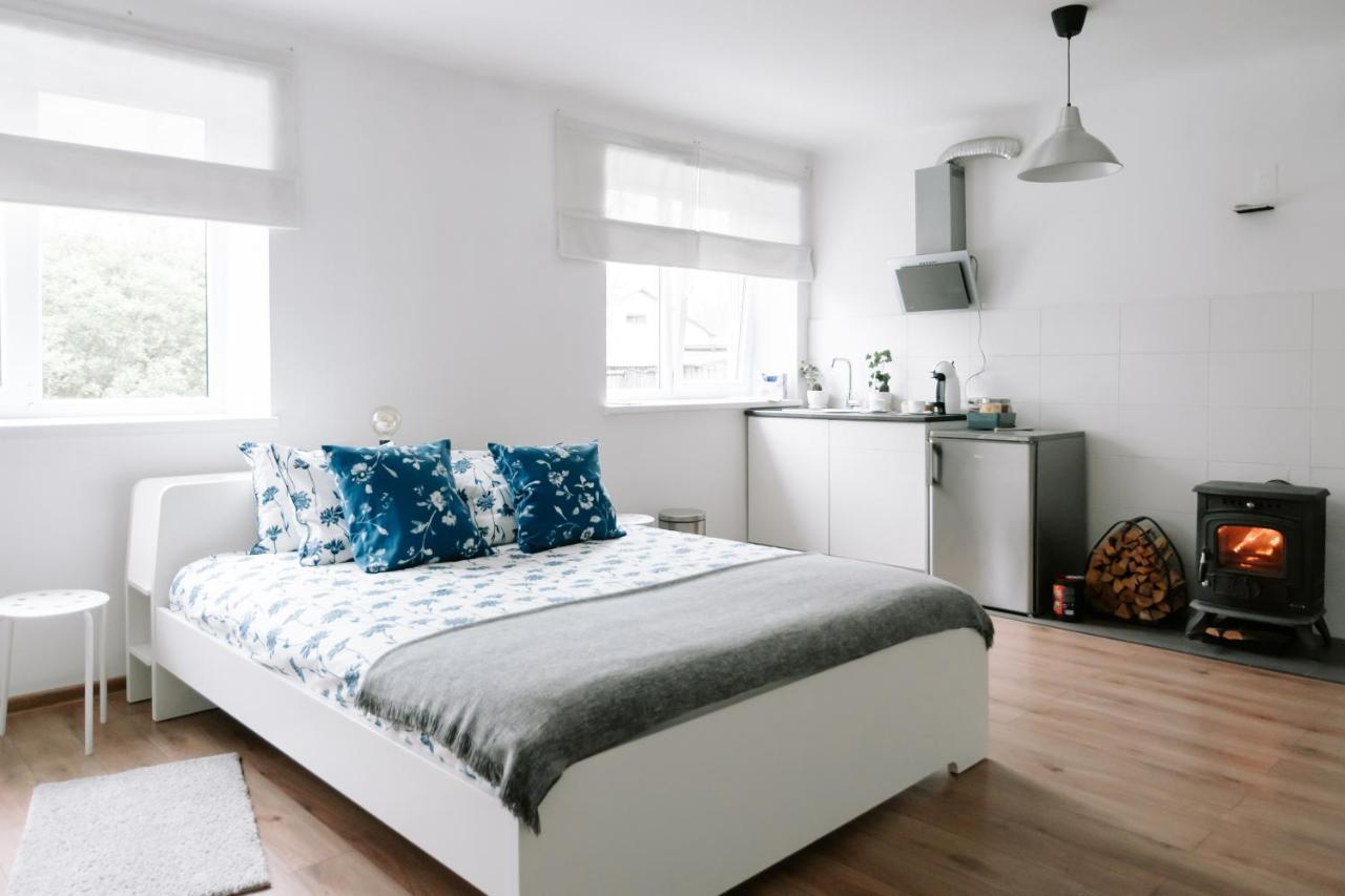 Lake Aluksne Studio Apartment Екстер'єр фото