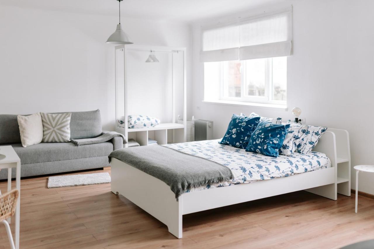 Lake Aluksne Studio Apartment Екстер'єр фото